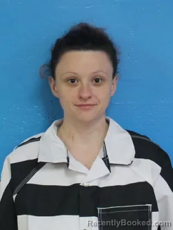 Mugshot of SKY ANGELIQUE BROWN