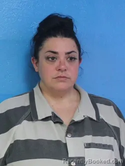 Booking photo from Sullivan County, Tennessee