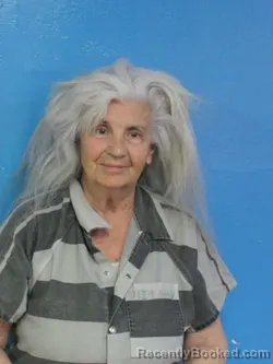 Mugshot of SUE HINTON BRASWELL