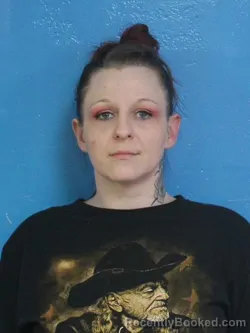 Mugshot of HEATHER LENORE KISER booked in Sullivan County, Tennessee on April 27, 2026