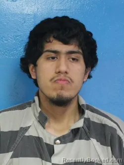 Mugshot of STEVEN CEDILLO NAVA