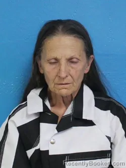 Mugshot of DENISE JANE JACKSON booked in Sullivan County, Tennessee on May 4, 2026