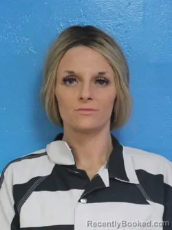 Booking photo from Sullivan County, Tennessee