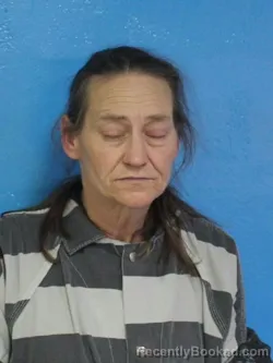 Mugshot of JENNIFER NICOLE DAVIS