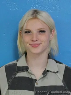Mugshot of KENDRA DANIELLE ARMSTRONG booked in Sullivan County, Tennessee on June 26, 2026