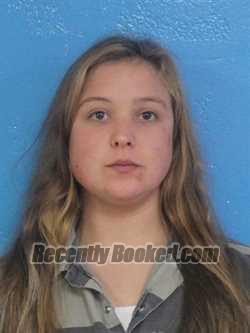 Booking photo from Sullivan County, Tennessee