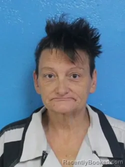 Booking photo from Sullivan County, Tennessee