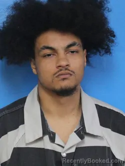 Booking photo from Sullivan County, Tennessee