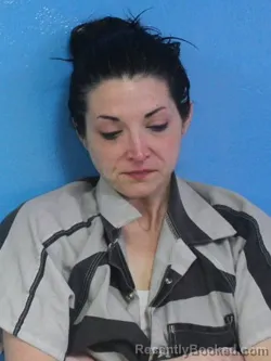 Mugshot of AMBER NICOLE VIPPERMAN