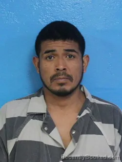 Mugshot of LUIS FERNANDO DAVILA MEDINA