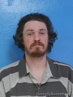 Mugshot of BRANDON LAMAR AMMONS