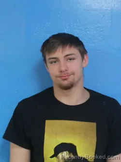 Mugshot of AARON SEAN TRIVETT