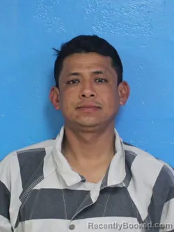 Mugshot of WILBERT HERRERA GONZALEZ