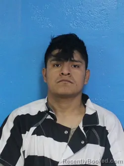 Mugshot of ALDO JONNY IVAN SIS-VARGAS