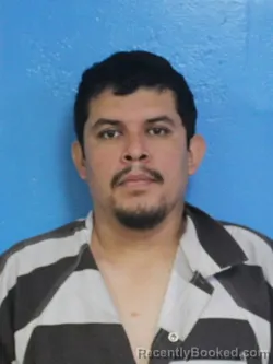 Mugshot of RAMON CASTILLO TURRUBIARTES