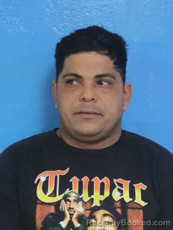 Mugshot of Castellanos Ramirez Yoelquis