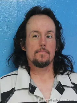 Mugshot of DAVID WAYNE WILLIAMS