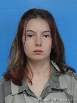 Mugshot of HEATHER LOUISE MCDANIEL