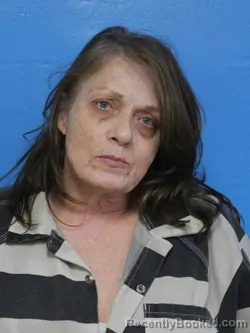 Mugshot of DIANA LYNN JOHNSON