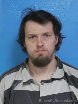 Mugshot of MICHAEL WESLEY MYERS