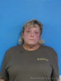 Mugshot of SANDRA SUE TOLBERT-HICKS