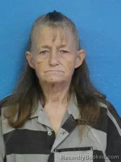 Mugshot of PATRICIA ROBIN BLAYLOCK