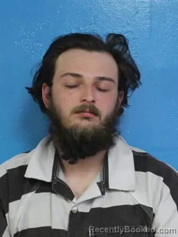 Mugshot of JUSTIN THOMAS PARKS