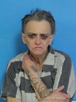 Mugshot of TONYA MICHELLE ALLY GREER