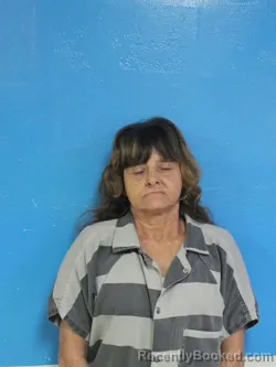 Mugshot of MELISSA ANN WOODFIN