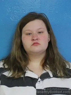 Mugshot of HANNAH RENEE EVANS