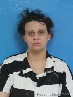 Mugshot of AUSTIN MARIE MINK