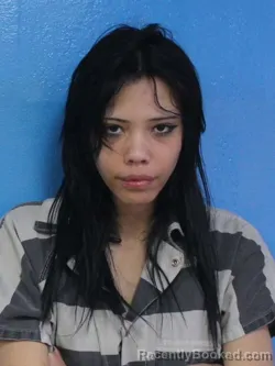 Booking photo from Sullivan County, Tennessee