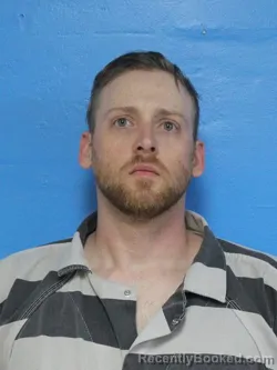 Mugshot of DALE HARRISON GOODSON booked in Sullivan County, Tennessee on March 26, 2026