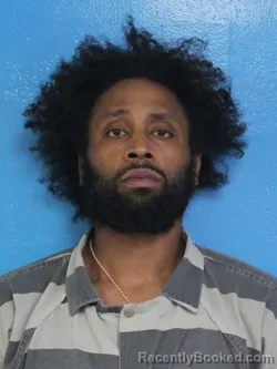 Mugshot of TYRON RASHAUN FERGUSON booked in Sullivan County, Tennessee on March 27, 2026