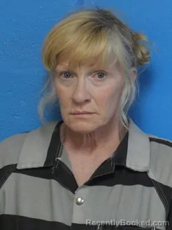 Mugshot of LISA ELIZABETH QUINN booked in Sullivan County, Tennessee on March 27, 2026