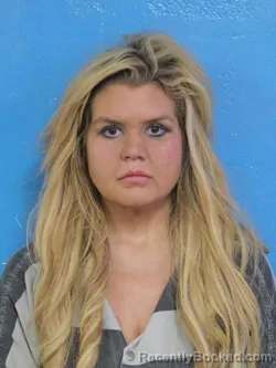 Mugshot of SHANNES AERIEL MARION booked in Sullivan County, Tennessee on March 29, 2026