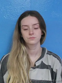 Mugshot of ABBIGALE MARIE SANDERSON booked in Sullivan County, Tennessee on March 30, 2026