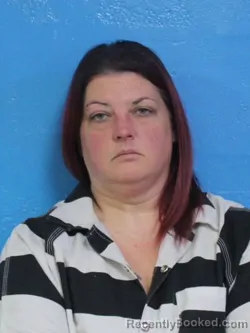 Mugshot of TONYA DEETTE STAMEY booked in Sullivan County, Tennessee on March 30, 2026