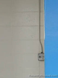 Mugshot of YOBANI PEREZ FILADELFO CHAVEZ booked in Sullivan County, Tennessee on March 31, 2026