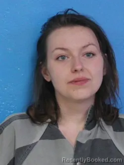 Mugshot of ADRIANA JADE STREET booked in Sullivan County, Tennessee on April 14, 2026