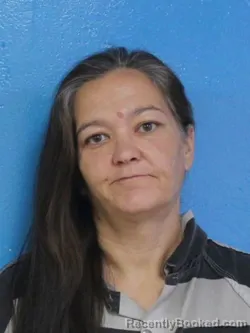 Mugshot of CHRISTY LEE SCOTT booked in Sullivan County, Tennessee on April 14, 2026