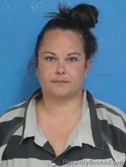 Mugshot of HANNAH MICHELLE TEDDY booked in Sullivan County, Tennessee on April 25, 2026