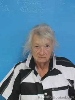 Mugshot of DONNA KAYE GOAD booked in Sullivan County, Tennessee on April 27, 2026