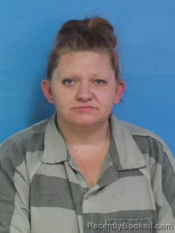 Mugshot of MINDY LEIGH LOVELL booked in Sullivan County, Tennessee on April 28, 2026