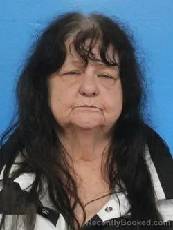Mugshot of JOAN MICHELE AMENDOLA booked in Sullivan County, Tennessee on April 29, 2026