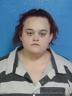 Mugshot of CHEYENNE NICOLE SHAFFER booked in Sullivan County, Tennessee on April 30, 2026