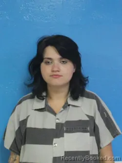 Mugshot of KAYLA CHEYENNE MICHAELS booked in Sullivan County, Tennessee on April 30, 2026