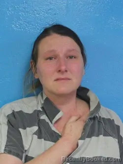 Mugshot of JESSICA DENISE PETERSON booked in Sullivan County, Tennessee on May 2, 2026