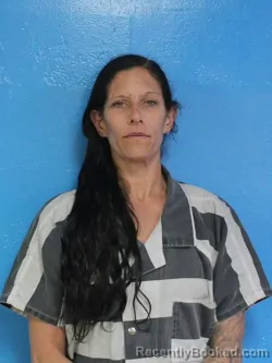 Mugshot of JAMIE LAVON HORTON booked in Sullivan County, Tennessee on May 8, 2026