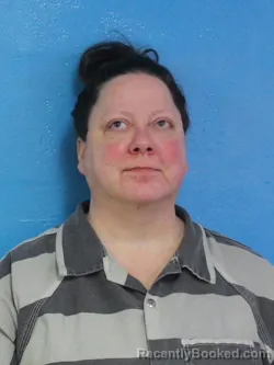 Mugshot of JESSICA LEANNE MANESS booked in Sullivan County, Tennessee on May 8, 2026